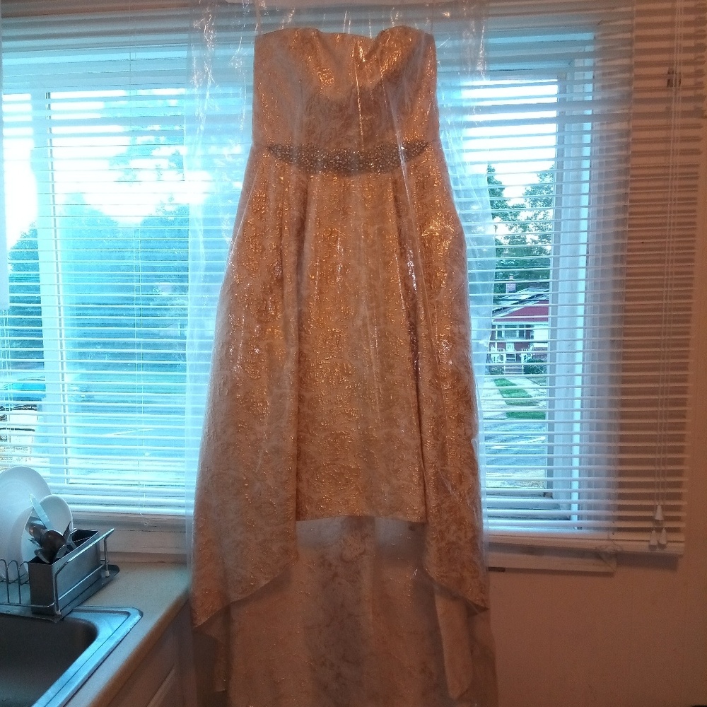 Evening Gown for weddings or parties!